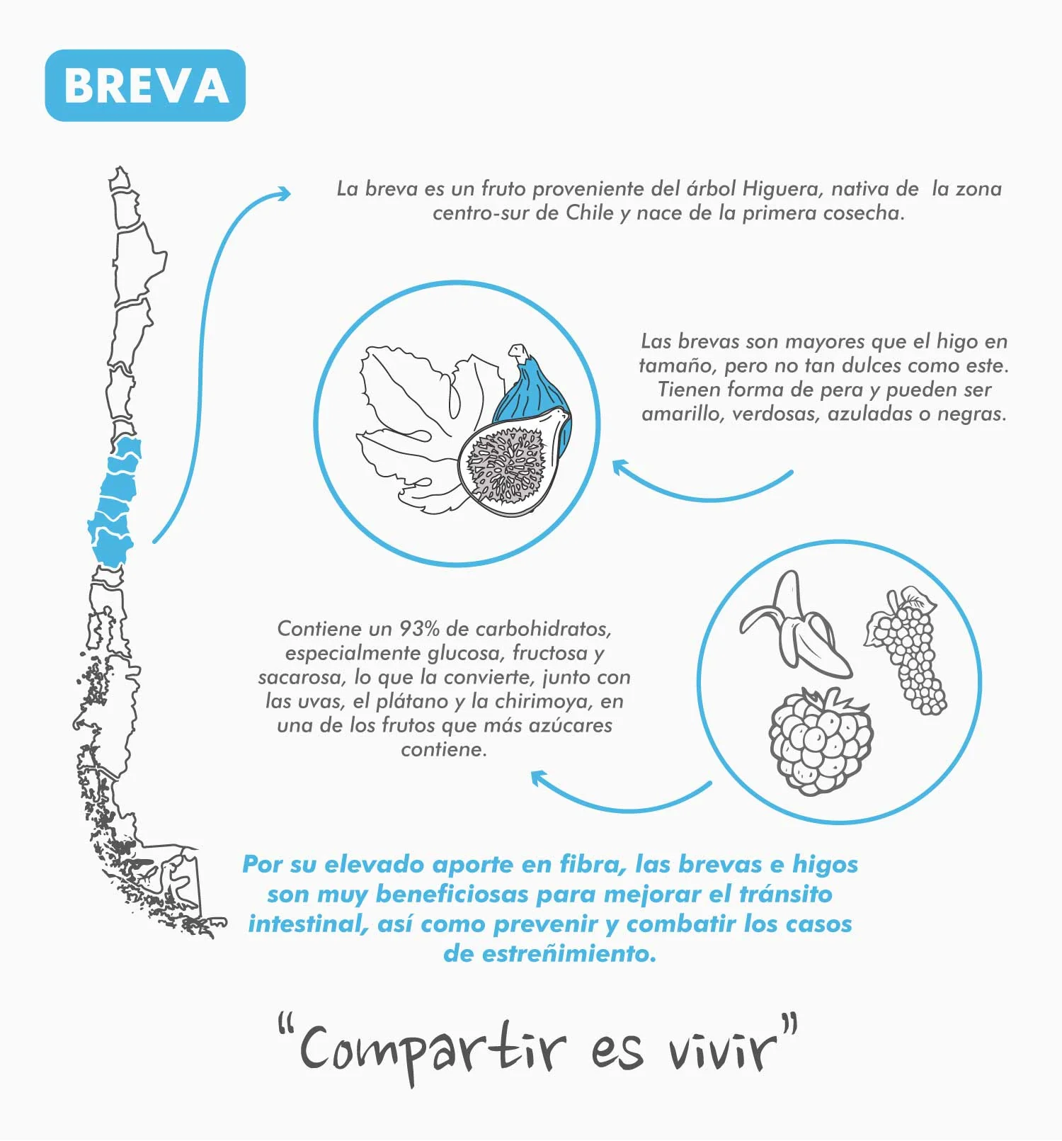 Imagen del producto 8